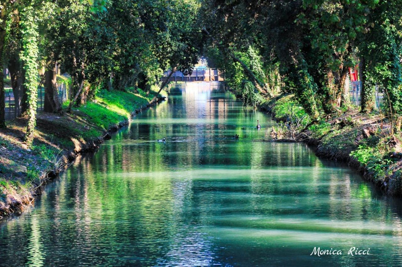 Il Gabbiano Giallo ฟาโน ภายนอก รูปภาพ