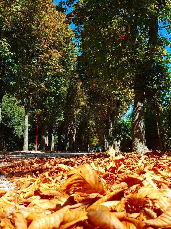 Il Gabbiano Giallo ฟาโน ภายนอก รูปภาพ